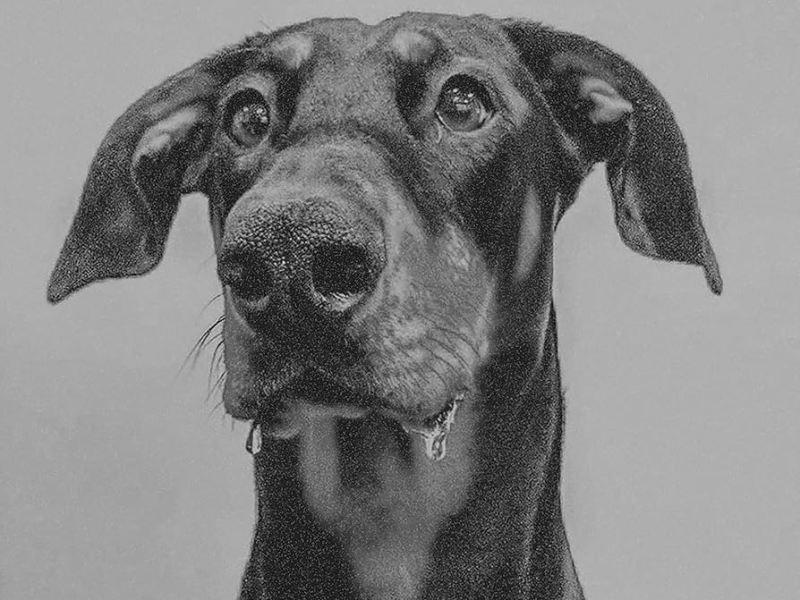 BIG SPECIAL: POSTINDUSTRIAL HOMETOWN BLUES Album Review |&nbsp;mvm