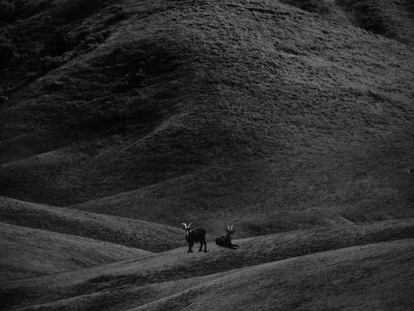 Nx Worries: “Why Lawd?” Album Review |&nbsp;mvm