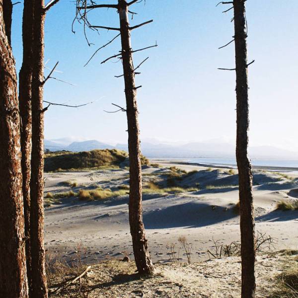 Getdown Services: talk of the town for alternative&nbsp;noise